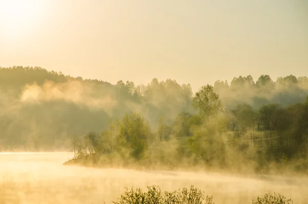 Brouillard matinal. autour du lac poussent bouleau  . — Photo