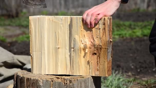 En man hugga ved med en yxa log in små trä. hugga ved med en yxa — Stockvideo