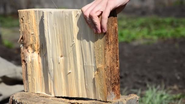 Un hombre cortando madera con un tronco de hacha en madera pequeña. cortar madera con un hacha — Vídeo de stock