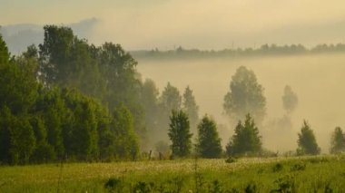  Güneş doğuyor ve ormanı sisli bir gölle aydınlatıyor. .