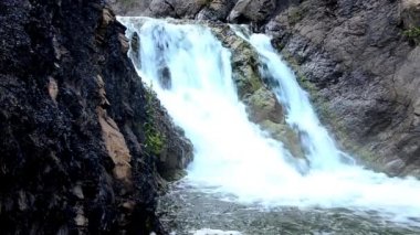 Sabah sisinde düşen su. Yoğun sabah sisinde düşen su. Uçurumdan düşen su. Bir su yüksekliğinden düşmek. Sisin içine düşen su. Yaz ormanında yoğun sabah sisi.