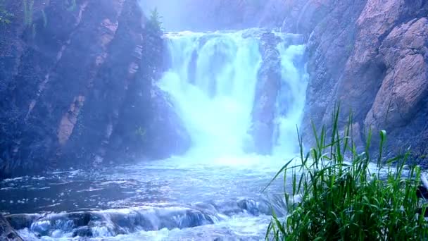 Falling water in the morning mist. falling water in the dense morning fog. Water falling from a cliff. falling from a height of water. falling water in the fog. thick morning fog in the summer forest. — Stock Video
