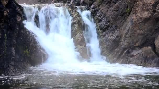 Cayendo agua en la niebla de la mañana. cayendo agua en la densa niebla matutina. Agua cayendo de un acantilado. cayendo desde una altura de agua. cayendo agua en la niebla. niebla espesa de la mañana en el bosque de verano . — Vídeo de stock