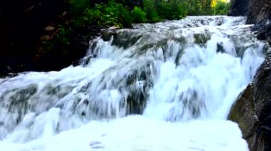 Sabah sisinde düşen su. Yoğun sabah sisinde düşen su. Uçurumdan düşen su. Bir su yüksekliğinden düşmek. Sisin içine düşen su. Yaz ormanında yoğun sabah sisi.