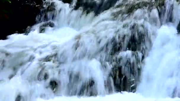 chute d'eau dans la brume matinale. chute d'eau dans le brouillard dense du matin. L'eau tombe d'une falaise. tombant d'une hauteur d'eau. chute d'eau dans le brouillard. brouillard matinal épais dans la forêt d'été .