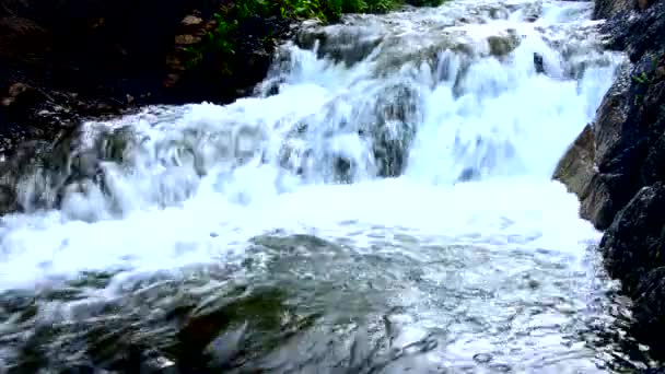 Falling water in the morning mist. falling water in the dense morning fog. Water falling from a cliff. falling from a height of water. falling water in the fog. thick morning fog in the summer forest. — Stock Video