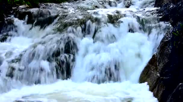 Falling water in the morning mist. falling water in the dense morning fog. Water falling from a cliff. falling from a height of water. falling water in the fog. thick morning fog in the summer forest. — Stock Video