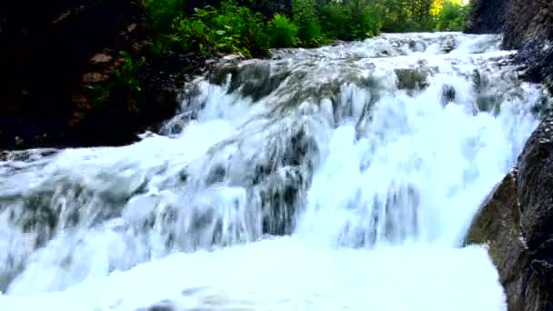 Vallend water in de ochtendmist. vallend water in de dichte ochtendmist. Water dat van een klif valt. vallen van een hoogte van water. vallend water in de mist. dikke ochtendmist in het zomerwoud. — Stockvideo