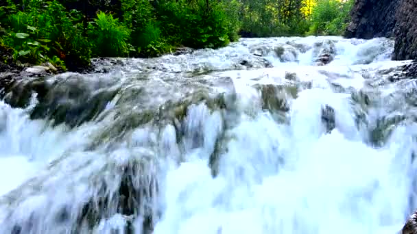 Falling water in the morning mist. falling water in the dense morning fog. Water falling from a cliff. falling from a height of water. falling water in the fog. thick morning fog in the summer forest. — Stock Video