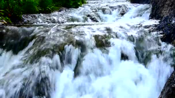 Падающая вода в утреннем тумане. падающая вода в густом утреннем тумане. Вода падает со скалы. падая с высоты воды. падающая вода в тумане. густой утренний туман в летнем лесу . — стоковое видео