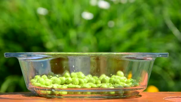 Green peas spilling. peas in a container. poured into a bowl . small portions . summer sunny day . wind stirs the grass . — Stock Video