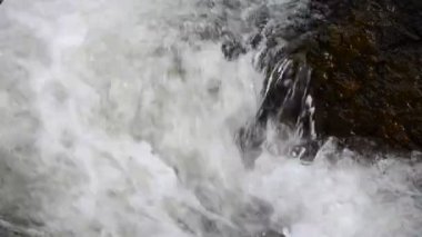 Sabahın sisinde düşen sular.