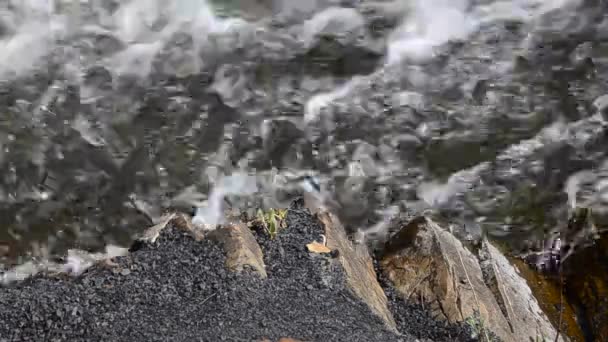 Spadająca Woda Porannej Mgle — Wideo stockowe