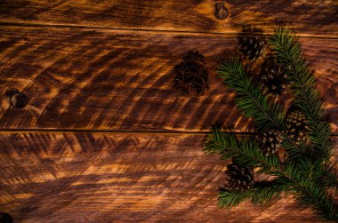 Noel konileri ve dallar tahta tahtalarda