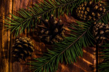 Noel konileri ve dallar tahta tahtalarda