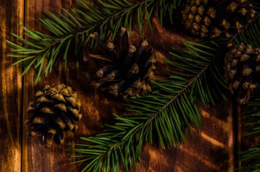 Noel konileri ve dallar tahta tahtalarda