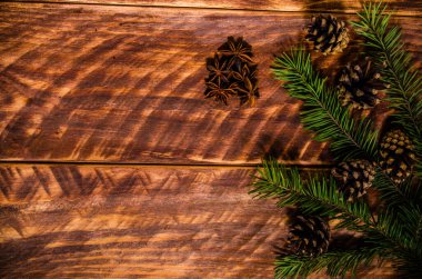 Noel konileri ve dallar tahta tahtalarda