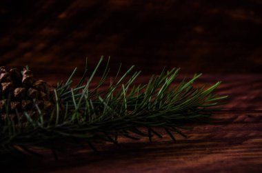 Noel konileri ve dallar tahta tahtalarda