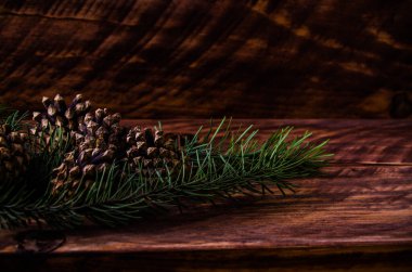 Noel konileri ve dallar tahta tahtalarda