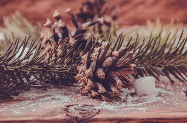 Bożonarodzeniowe Szyszki Gałęzie Drewnianych Deskach Pianek — Zdjęcie stockowe