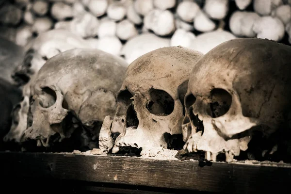 Human Skulls Bones Gloomy Photo Death — Stock Photo, Image