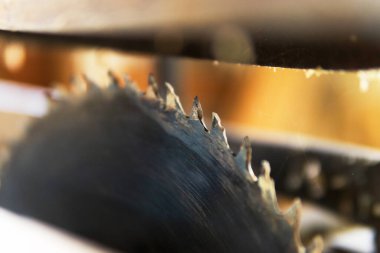 Dairesel testere. Ahşap. Yakın çekim testeresi. Atölye