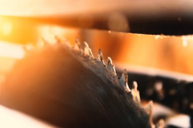 Dairesel testere. Ahşap. Yakın çekim testeresi. Atölye