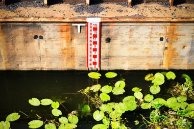 Metalik duvarda su seviyesi ölçer var. Yeşil bitkilerle durgun su