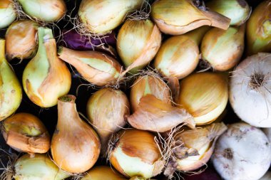 Ekmek için bir sürü küçük soğan soğanı. Farklı soğan çeşitleri.