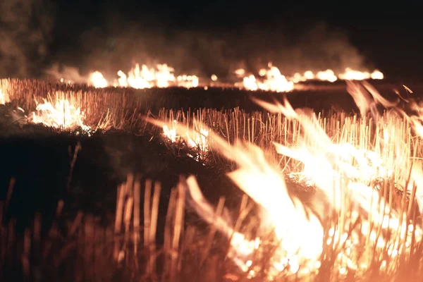 Gran Fuego Mucho Humo Fuego Por Noche — Foto de Stock