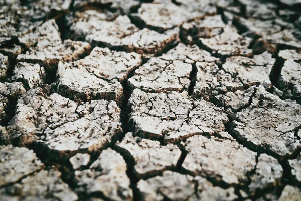 Dried cracked earth soil ground texture background. Mosaic pattern of sunny dried earth soil