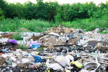 Yere saçılmış büyük bir çöp yığını. Çevre kirliliği, çevre felaketi