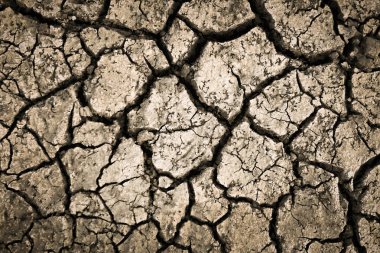 Kurumuş toprak toprak zemin dokusu. Güneşli kuru toprak mozaik deseni