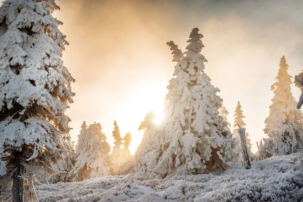 Majestoso Pôr Sol Paisagem Montanhas Inverno — Fotografia de Stock