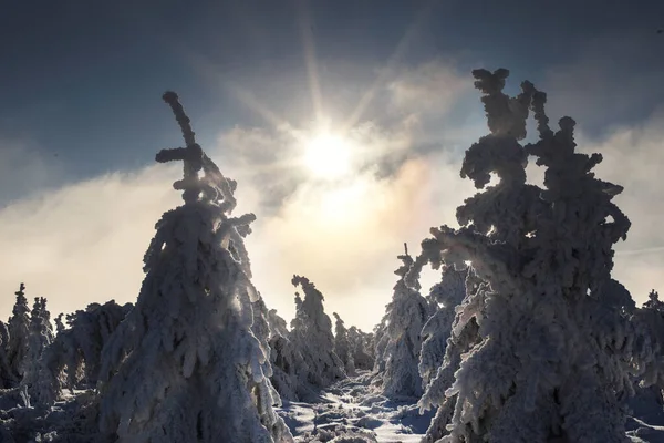 Tramonto Maestoso Nel Paesaggio Invernale Delle Montagne — Foto Stock