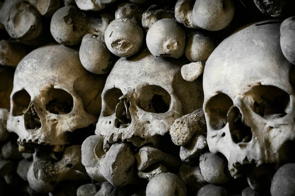 Human Skulls Bones Gloomy Photo Death — Stock Photo, Image