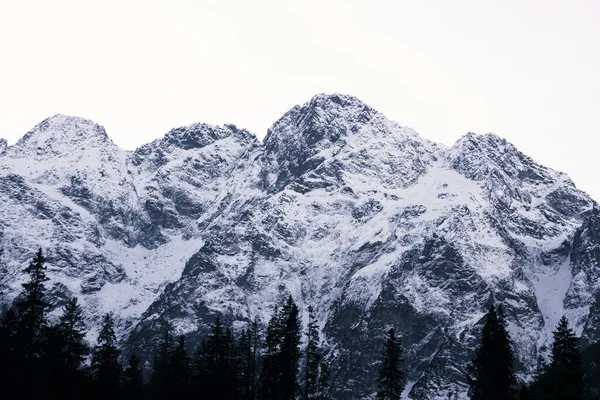 Driehoekige Sneeuwkap Berg Poolse Tatrah — Stockfoto