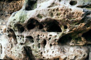 Yosun kaplı kayaların rahatlaması.