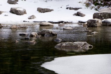 Buz üstündeki taş. Kış manzarası. Gölde soğuk su