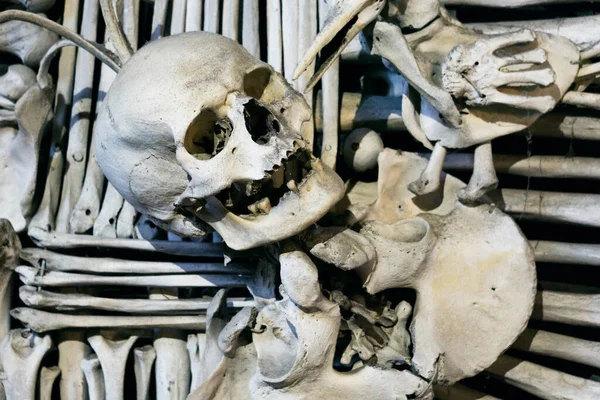 Human Skulls Bones Kutna Hora Czech — Stock Photo, Image