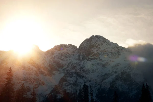 Zonnig Winter Mountain Landschap Met Blazende Sneeuw — Stockfoto