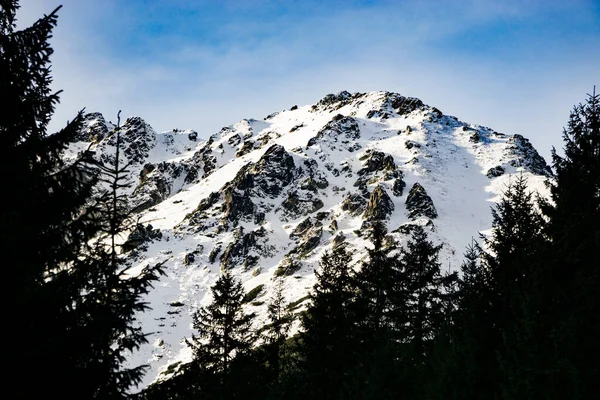 Beaux Sommets Enneigés Fond Des Arbres — Photo