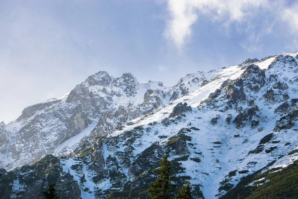 Alpes Alpines Paysage Montagne Sommet Europe Suisse — Photo