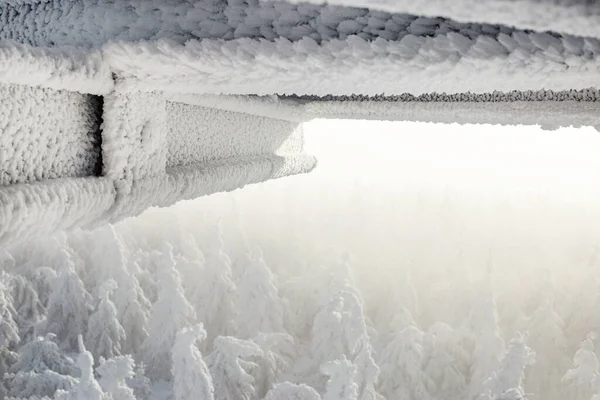 Blick Auf Schneebedeckte Bäume Durch Schneefall — Stockfoto