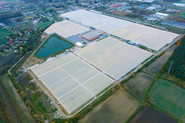 Modern sera kompleksi. Kuş bakışı olarak sebze yetiştirmek için büyük bir sera.