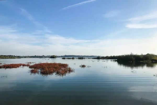 小さな島と湖 青い空に対する美しい青い湖 — ストック写真