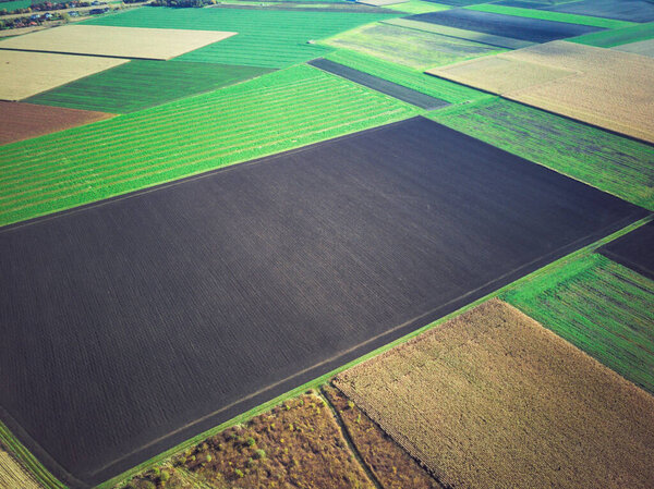 Green fields from a bird's eye view