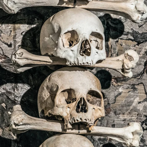 Crânios Humanos Com Ossos Nas Catacumbas — Fotografia de Stock