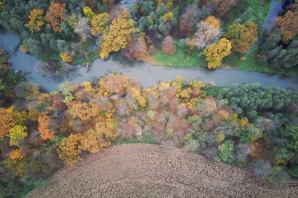 Fotografía Aérea Del Río Bosque Otoñal Paisaje Otoñal —  Fotos de Stock