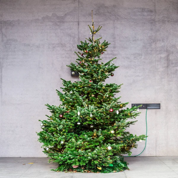 Árvore Natal Fundo Uma Parede Concreto — Fotografia de Stock